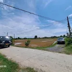 Bán 2 công đất lúa mặt tiền Lộ Tập Đoàn 5, Thủ Thừa, Long An - Ảnh thu nhỏ 2