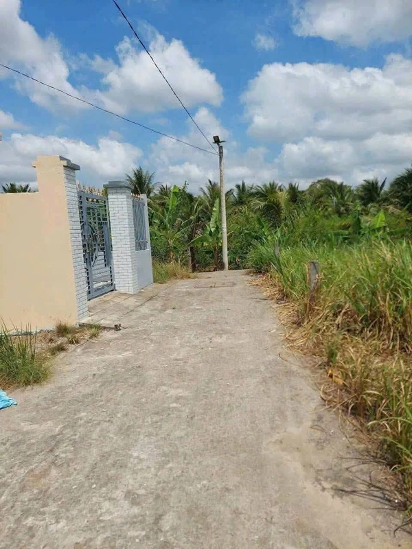 Bán nền đất Bình Phú Bến Tre 120m2, 650 triệu