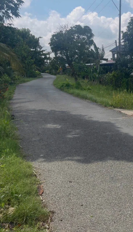 Bán đất thổ cư 5x35m giá 390 triệu tại xã An Lục Long, Châu Thành, Tây Ninh