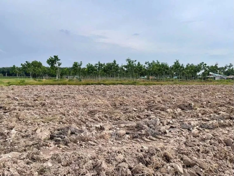Bán đất thổ cư 400 m² gò cao tại Châu Thành, Tây Ninh