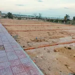 Đất gần Biển Ninh Chữ đấu giá nhà nước - Cơ hội đầu tư đất biển giá rẻ - Ngân hàng hỗ trợ vay - Ảnh thu nhỏ 11