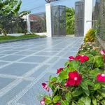 Bán nhà sân vườn 373m2 Diên Lộc, Cần Giờ - 1 tỷ 850 triệu - Ảnh thu nhỏ 3
