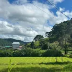 Bán đất 100m² tại Đèo Prenn Đà Lạt từ 950 triệu - Ảnh thu nhỏ 5