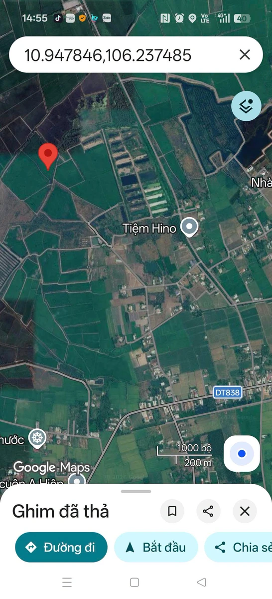 Bán đất vườn 15.000 m² xã Mỹ Thạnh, Long An - Ảnh thu nhỏ 3