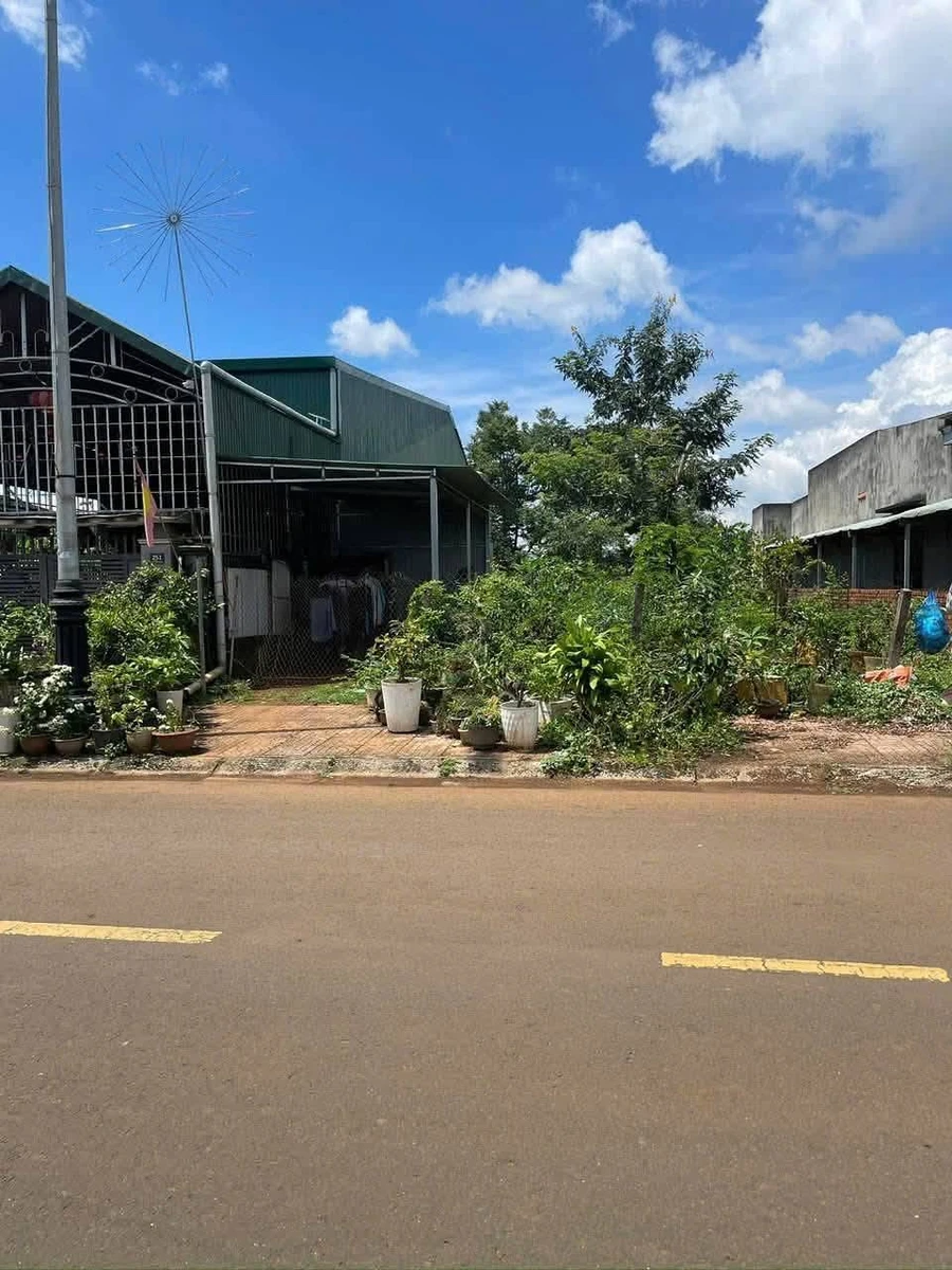 Đất mặt đường 5x50m 250m² tại Lâm Đồng, 1 tỷ - Ảnh thu nhỏ 5