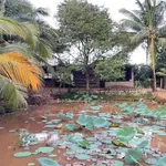Bán nhà vườn 3 hecta Long Phước, Bà Rịa, 2.5 triệu/m² - Ảnh thu nhỏ 1