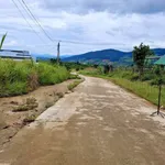 Bán đất nền 103m2 Đông Thanh, gần Đà Lạt 479 triệu - Ảnh thu nhỏ 4