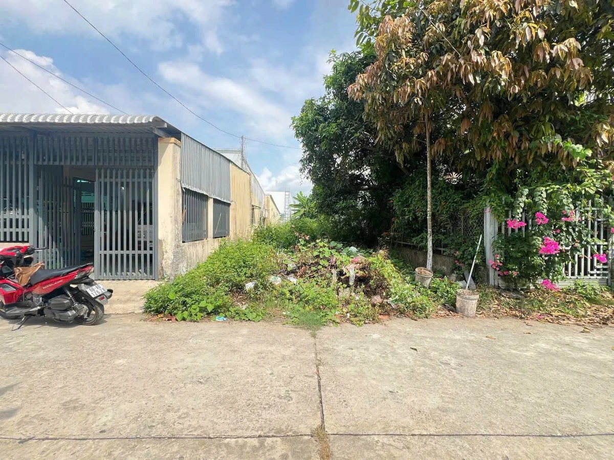 Bán đất mặt tiền Dương Quang Đông 120m² 900 triệu Vũng Tàu - Ảnh thu nhỏ 3