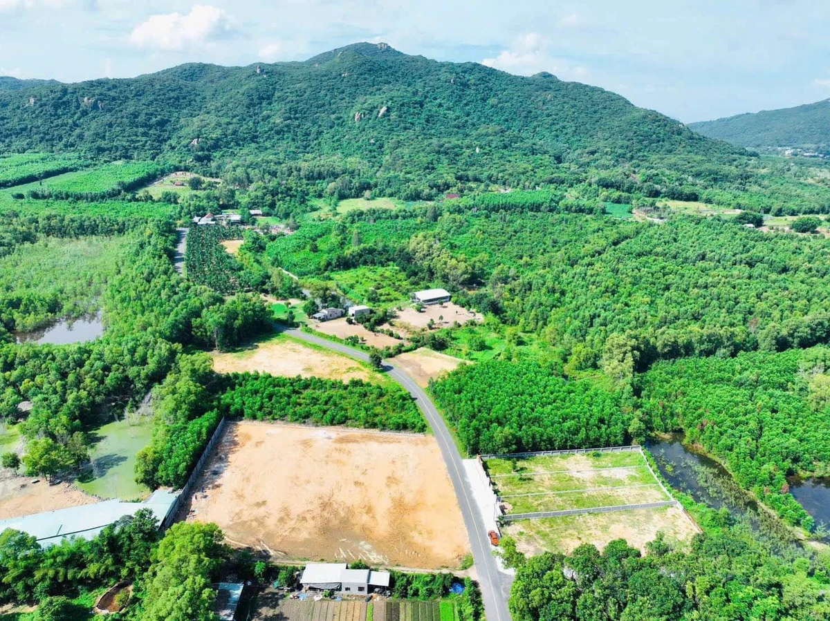 Bán đất 300m2 view núi Minh Đạm, có sẵn 80m2 thổ cư, xã Phước Hải - Ảnh thu nhỏ 4