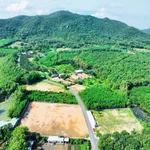 Bán đất 300m2 view núi Minh Đạm, có sẵn 80m2 thổ cư, xã Phước Hải - Ảnh thu nhỏ 4