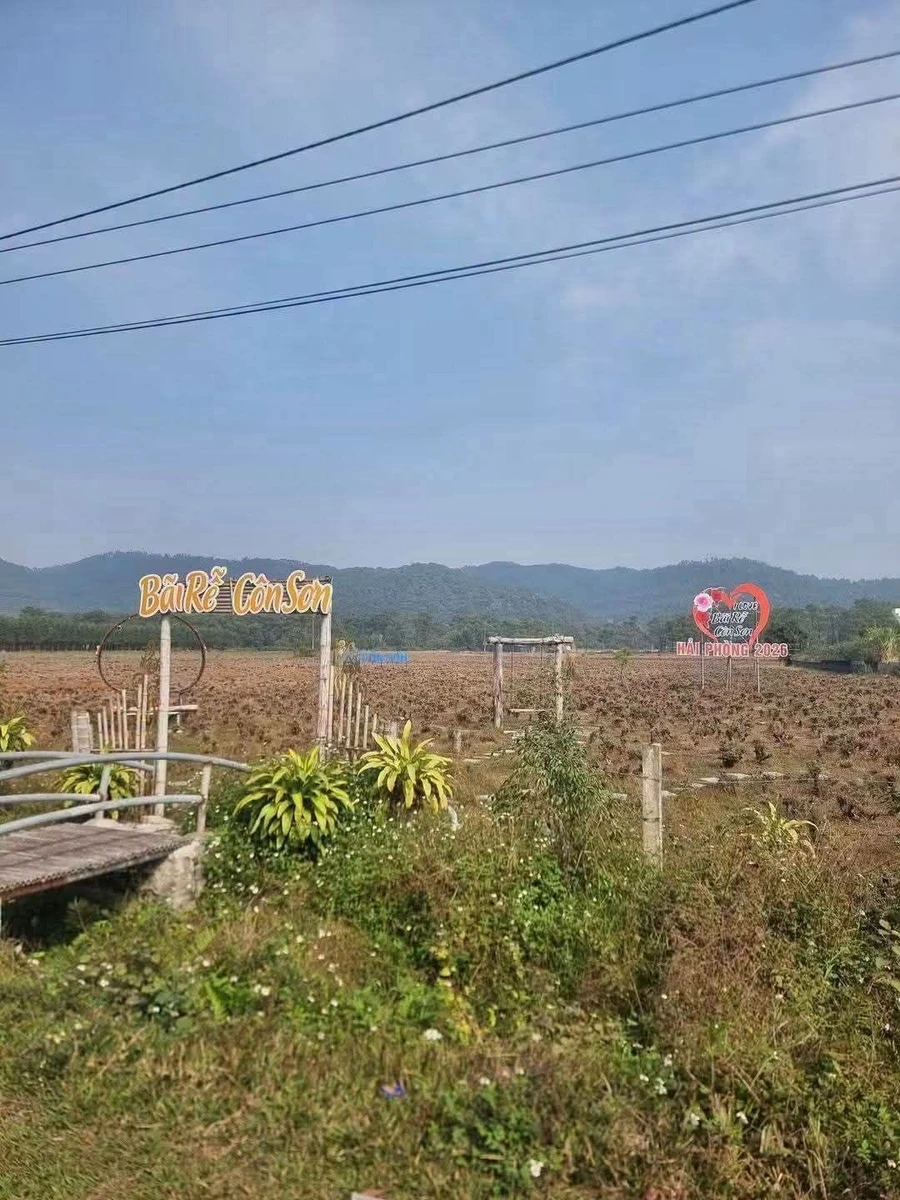 Bán đất nghỉ dưỡng 2600m² gần chùa Côn Sơn, Hải Phòng - Ảnh thu nhỏ 2