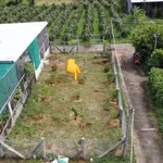 Bán đất thổ cư 130m2 gần chợ Bình An Hàm Liêm 550 triệu - Ảnh thu nhỏ 1
