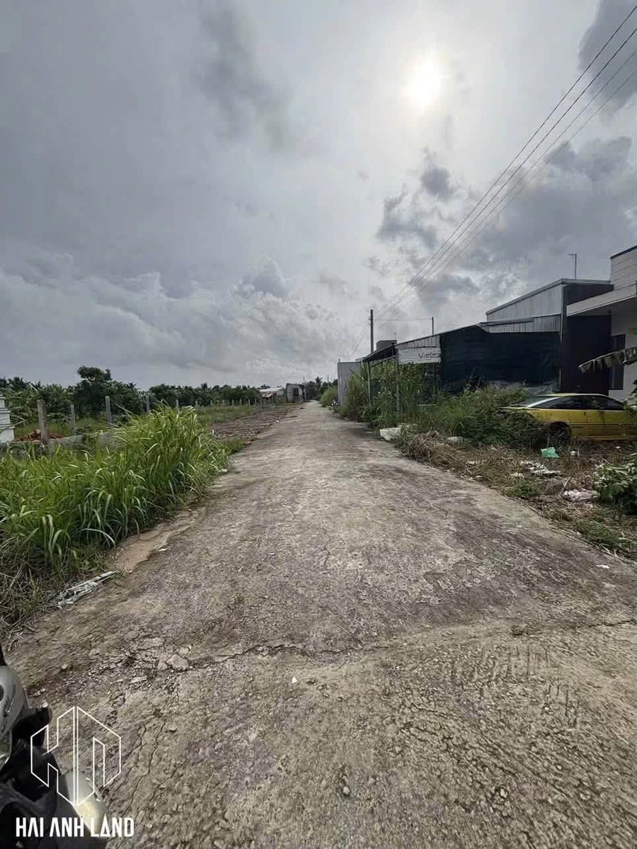 Bán đất nhánh Kênh Đòn Dong 164,7m², Thạnh Lộc, 420 triệu - Ảnh 1