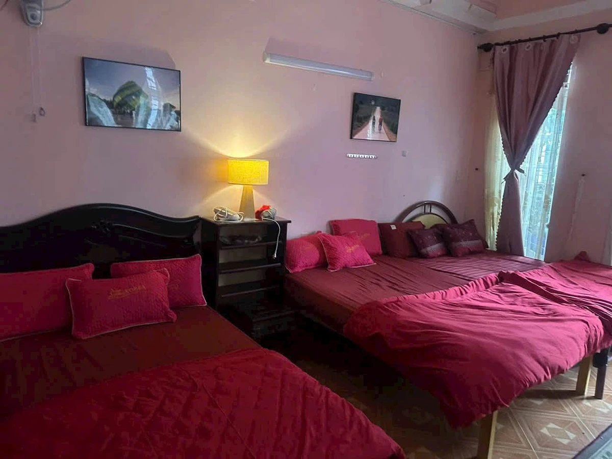 Bán homestay Phù Đổng Thiên Vương, Đà Lạt 140m² 12 tỷ - Ảnh thu nhỏ 4