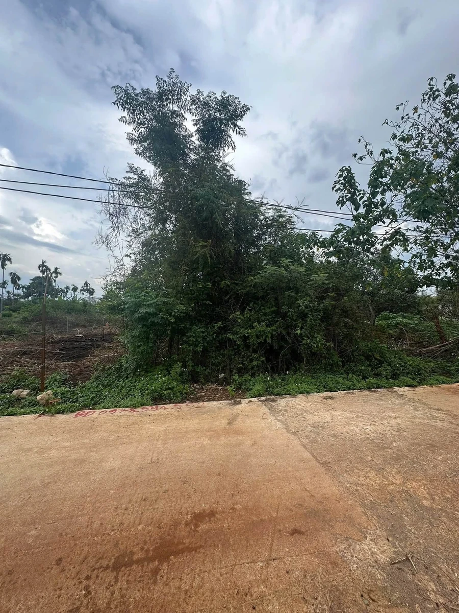Bán đất hẻm Dã Tượng 100m² Tân An, Bình Chánh 1.09 tỷ - Ảnh thu nhỏ 2