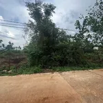 Bán đất hẻm Dã Tượng 100m² Tân An, Bình Chánh 1.09 tỷ - Ảnh thu nhỏ 2