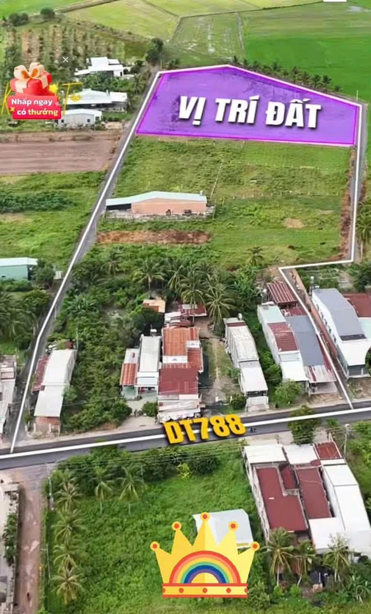 Bán đất 50m2 Châu Thành Tây Ninh chỉ 165 triệu - Ảnh thu nhỏ 3