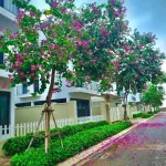 Cần bán gấp lô biệt thự DT 252m2 tại dự án Vlasta Sầm Sơn, Thanh Hóa - Ảnh thu nhỏ 10