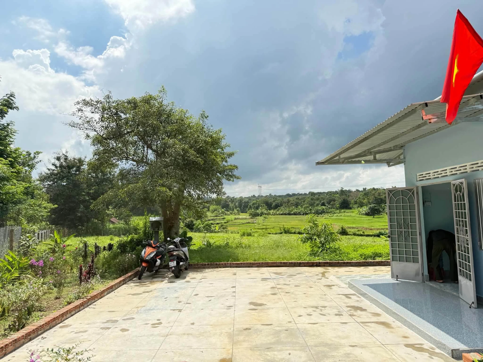 Bán lô đất sào thổ cư 300m2 view cánh đồng xã Ea Nuol, cách TP Buôn Ma Thuột 7km, giá 3,999 tỷ - Ảnh 1