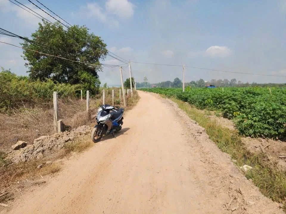 Bán đất 1000m2 Tây Ninh 220 triệu - Ảnh thu nhỏ 2