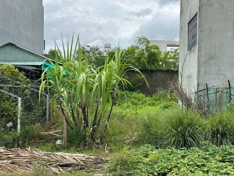 Bán đất thổ cư 5x20m (100m2) sổ riêng gần Bệnh viện Xuyên Á, Đức Hòa, Long An