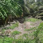 Bán đất mặt tiền 1471m² gần chợ Cầu Xây Trà Vinh - Ảnh thu nhỏ 3