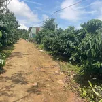 Bán rẫy cà phê 1ha7 Phường Đông Gia Nghĩa - Ảnh thu nhỏ 3