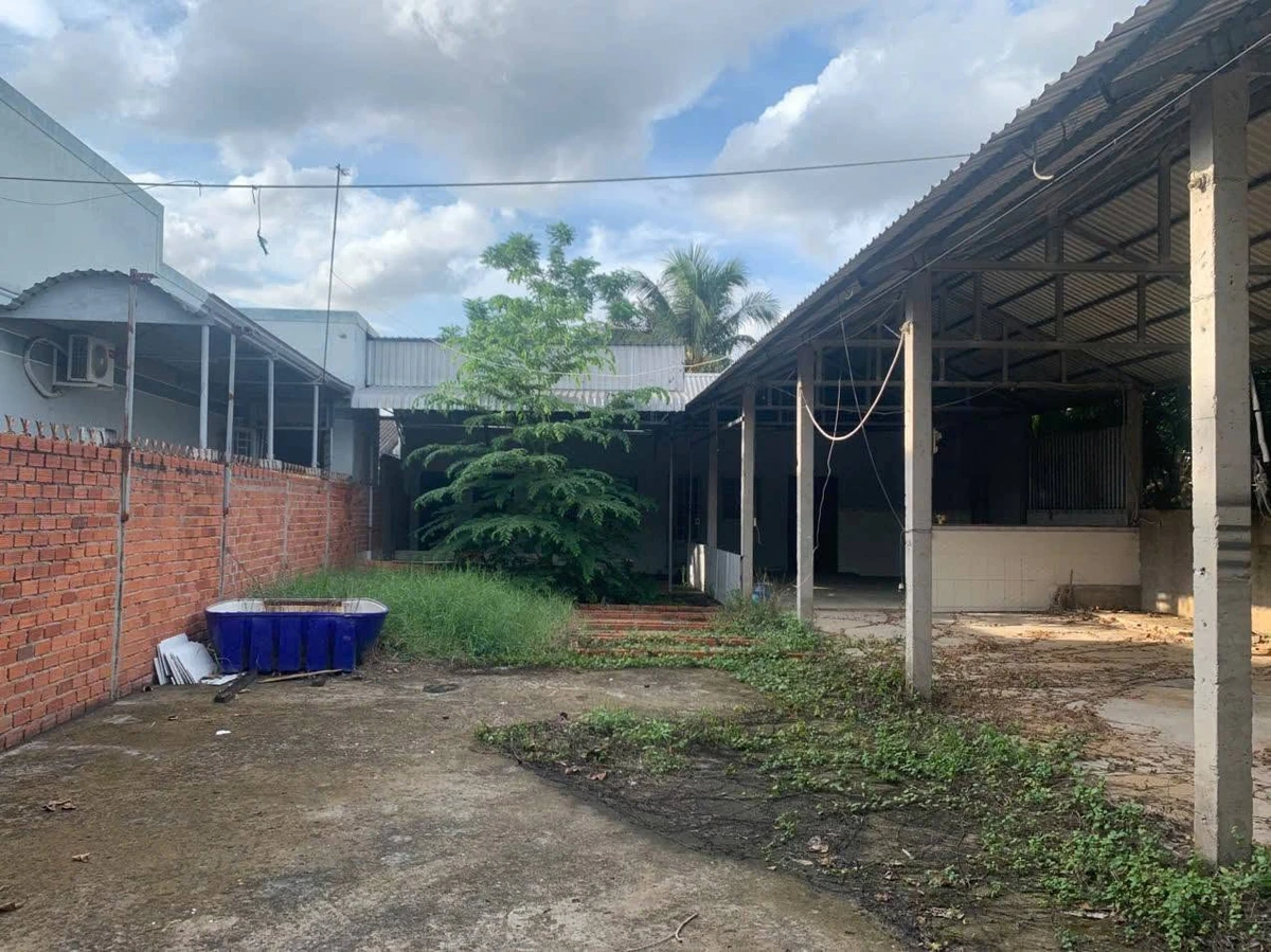 Bán đất 372.5m² mặt tiền vành đai tặng nhà, kho 1 tỷ 650 - Ảnh thu nhỏ 3