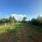 Bán 591m² đất nghỉ dưỡng Mê Linh ven Đà Lạt 2,5 tỷ - Ảnh thu nhỏ 3