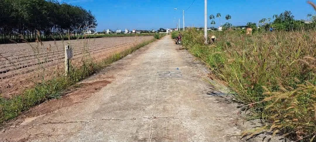 Bán 2 lô đất liền kề 100m2 đường số 13 Nha Bích - Ảnh 1