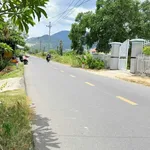 Bán lô đất 118m² Diên Thọ gần HL62, 440 triệu - Ảnh thu nhỏ 3