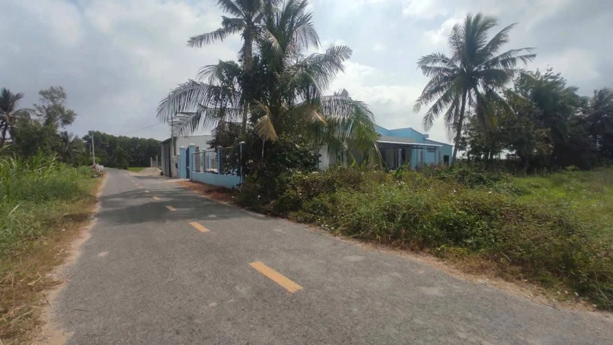 Bán đất mặt tiền 418m2 Lương Hòa A Cần Giờ - Ảnh thu nhỏ 3
