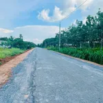 Bán đất đường nhựa 161m² Bến Cầu Tây Ninh 299 triệu - Ảnh thu nhỏ 4
