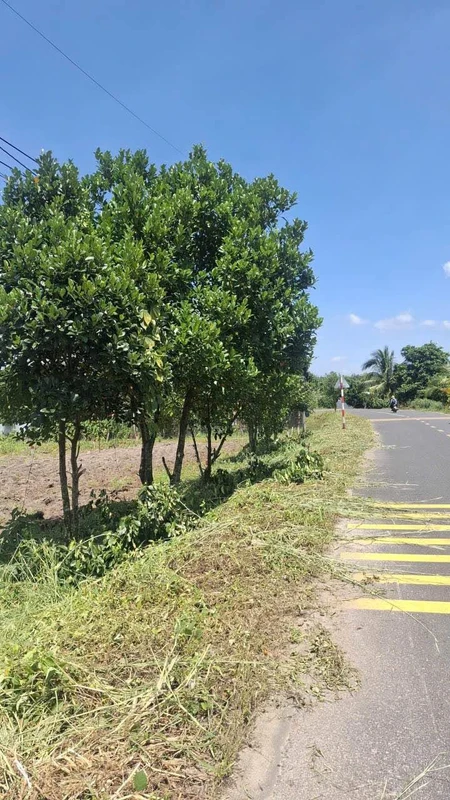 Bán đất nền 1.750 m² Long Nguyên, Bến Cát, Bình Dương, 7 tỷ