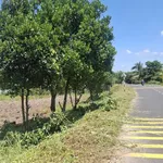 Bán đất nền 1.750 m² Long Nguyên, Bến Cát, Bình Dương, 7 tỷ - Ảnh thu nhỏ 1