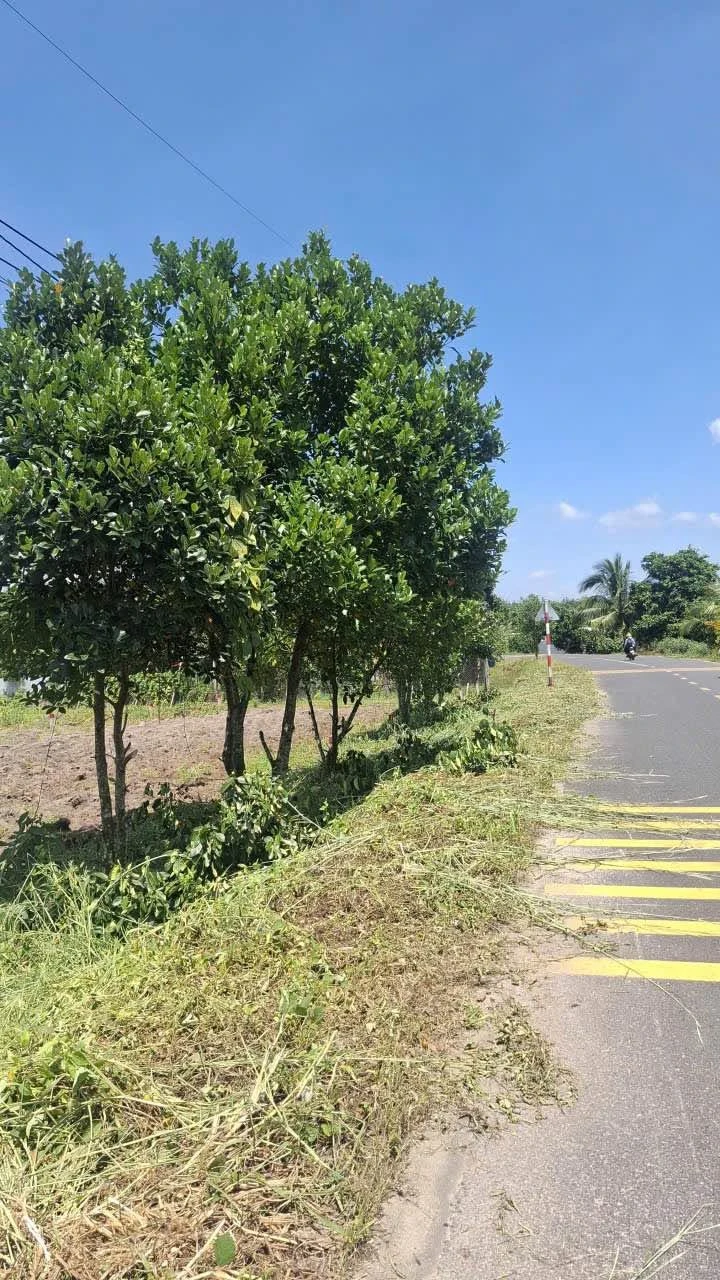 Bán đất nền 1.750 m² Long Nguyên, Bến Cát, Bình Dương, 7 tỷ - Ảnh 1