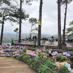 Siêu phẩm đẹp trên đồi đẹp, view rừng thông, xung quanh toàn khách sạn - Ảnh thu nhỏ 14