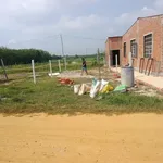 Bán đất Tây Ninh 6.3x17m, 169 triệu - Ảnh thu nhỏ 1
