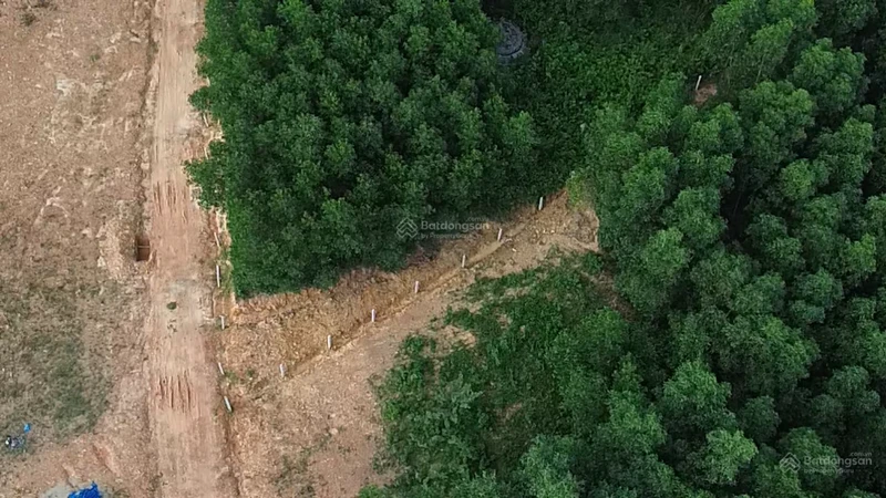 Bán đất tại Vinh Hưng, 900 triệu, 255m2, Chính chủ