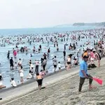 Bán đất biển Giao Ninh Ninh Bình 81-109m² giá 1 tỷ - Ảnh thu nhỏ 1