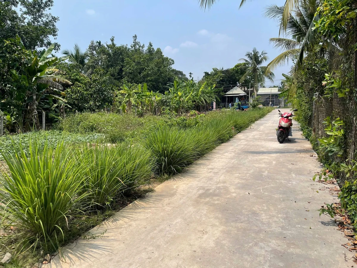 Bán lô đất Hưng Định 122m², 2 tỷ 450 triệu - Ảnh thu nhỏ 5