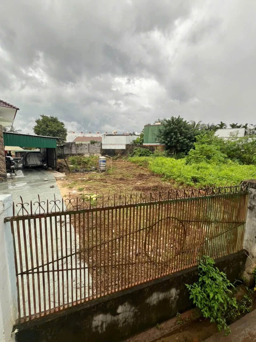 Bán đất hẻm Nguyễn Công Trứ 150m² Buôn Ma Thuột - Ảnh thu nhỏ 4
