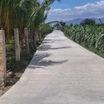 Bán đất 1250m² xây dựng hoàn toàn, cách Phan Thiết 4km - Ảnh thu nhỏ 1