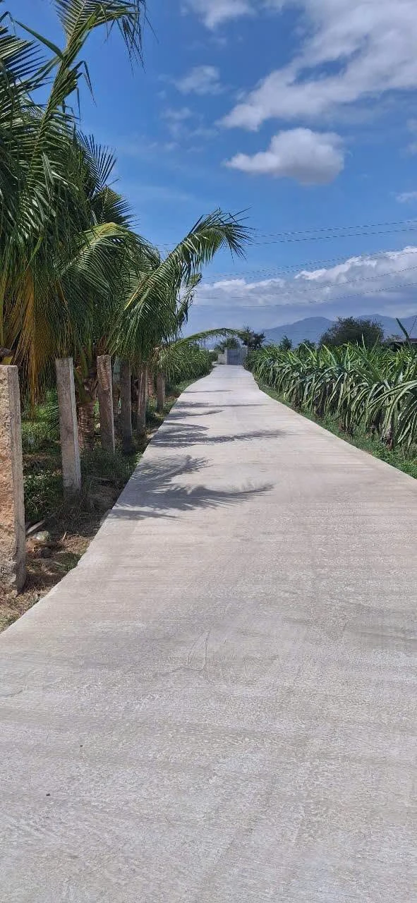 Bán đất 1250m² xây dựng hoàn toàn, cách Phan Thiết 4km - Ảnh 1