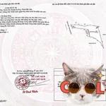 Gần 1,2ha MT Quốc Lộ 29, Đắk Lắk. Giá chưa đến 170tr/sào. Thích hợp làm kho, xưởng. LH 0973 610 *** - Ảnh thu nhỏ 3