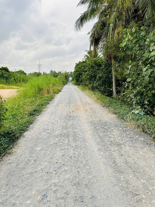 Bán đất vườn 1.650m² (600m² thổ cư) Đồng Tháp 4,2 tỷ