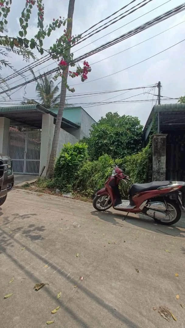 Bán đất 4,7x30m phường Phú An (Tân An cũ), ô tô tới đất, giá 1,25 tỷ - Ảnh thu nhỏ 3