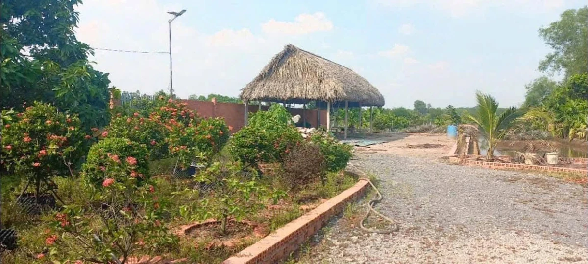 Bán đất vườn 2.517m2 tại Phú An, Hồ Chí Minh - 5 tỷ - Ảnh 1