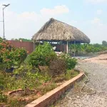 Bán đất vườn 2.517m2 tại Phú An, Hồ Chí Minh - 5 tỷ - Ảnh thu nhỏ 1