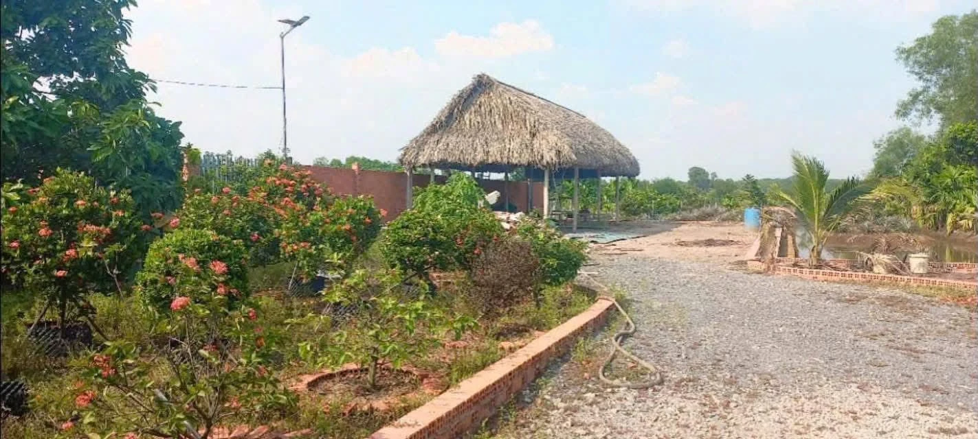 Bán đất vườn 2.517m2 tại Phú An, Hồ Chí Minh - 5 tỷ - Ảnh 1